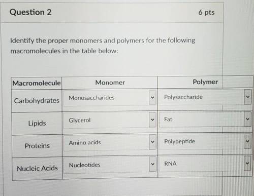 Monomer options: Monosaccharides, Amino Acids, Nucleotides, & Glycerol

Polymer options: Polys