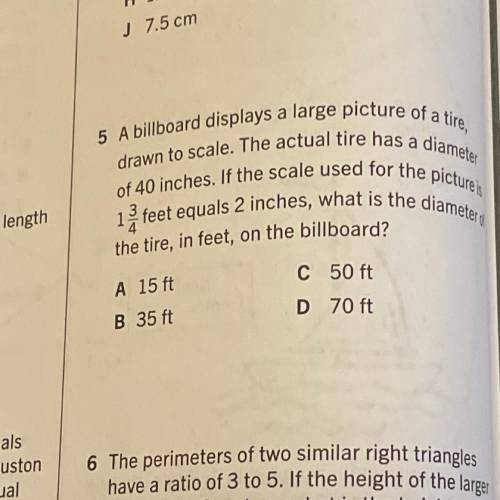 Help me please really quick please last questions