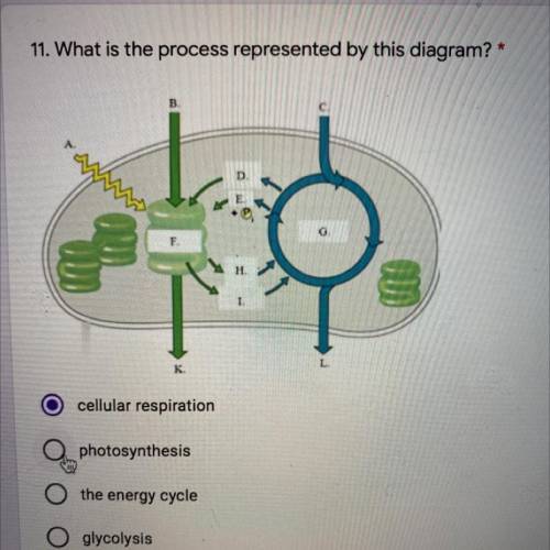 What is the process represented by this diagram