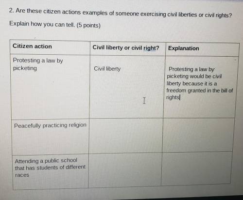 2. Are these citizen actions examples of someone exercising civil liberties or civil rights? Explai