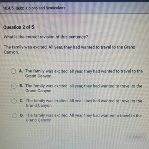 What is the correct revision of this sentence?

The family was excited; All year, they had wanted
