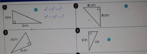 can someone please answer the first four for me? Also can someone please explain it to me, because
