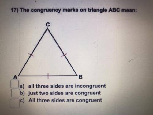 17) The congruency marks on triangle ABC mean:

С
А
B
a) all three sides are incongruent
b) just t