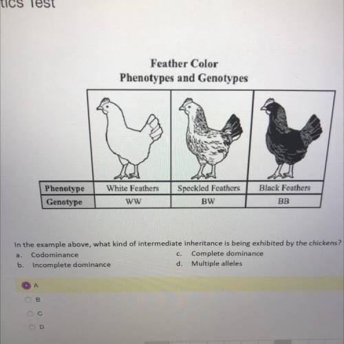 What kind of intermediate inheritance is being exhibited by the chickens???