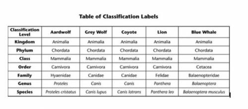 7. The table below contains information for five animals.

Which of the following are most closely