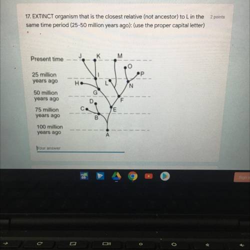 PLEASE HELP IF YOU UNDERSTAND PHYLOGENETIC TREES