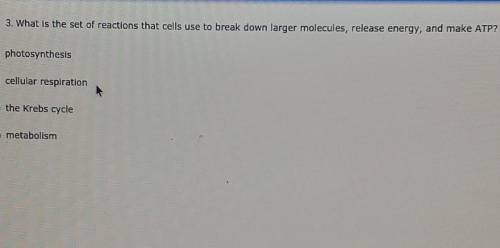 what is the set of reactions that cells use to break down larger molecules, release energy, and mak