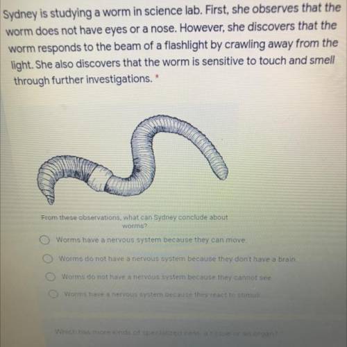 From these you observations, what an Sydney scout worms?
