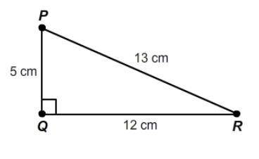 What is the measure of angle P?
Round only your final answer to the nearest hundredth.