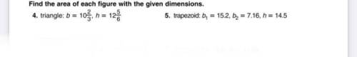 Can someone please help me with these two questions?