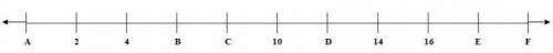 Which number is represented by F on the number line?
A) 17
B) 18 
C) 19 
D) 20