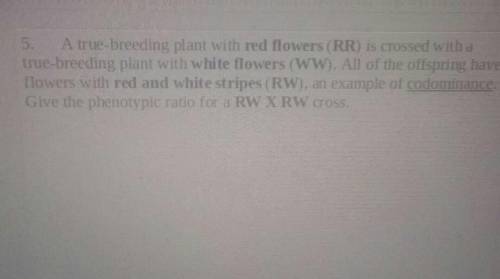 Can anyone help me with us? It says A true-breeding plant with red flowers (RR) is crossed with a