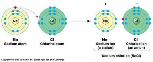 Show the path to the formation of sodium calcium and aluminum bases please help me​