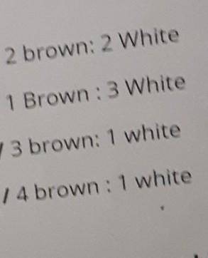 In goats, brown fur (B) is dominantover white fur (b). A brown goat mates with a white goat and the