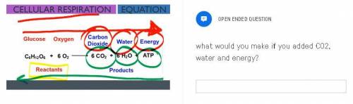 What would you make if you added CO2, water and energy?