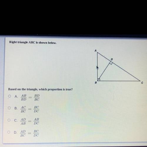 Based on the triangle, which proportion is true?

A. AB/BD=BD/BC
B. AC/BC=BC/DC
C. AD/AB=AB/DC
D.