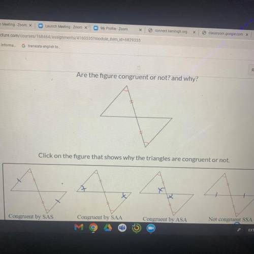 Are the figure congruent or not ? And why?