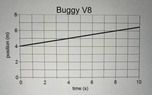 What is the velocity of the buggy? 
At 20 seconds the buggy will have a position of ____ ?