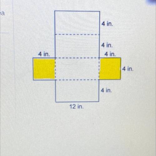 The highlighted areas represent bases. What is the lateral surface area

of the shape?
Select one