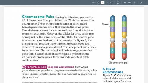 Read the attached text on chromosomes and inheritance.

SUMMARIZE each section in 20 WORDS or LESS