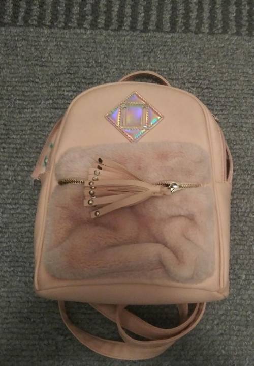 Can y'all help me find this same exact backpack for sale, mine broke :'( ​