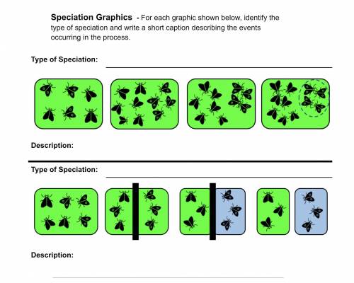 Plsss help it’s my birthday!!! (Speciation Graphics - For each graphic shown below, identify the ty