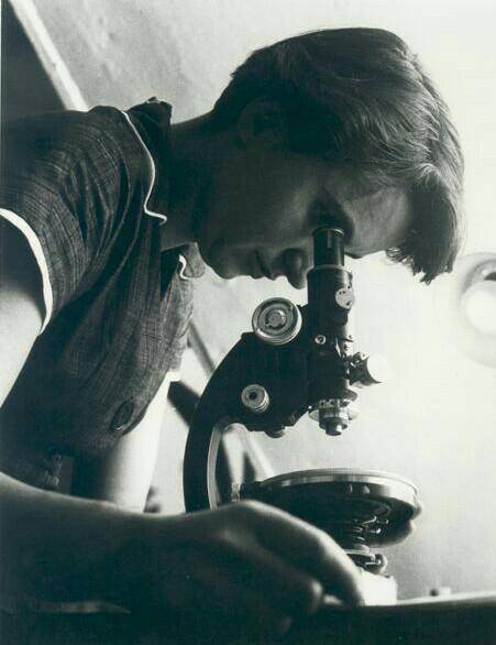 Hey There!

Can you please help me with one question?➠Who was Rosalind Franklin?Please don't answer