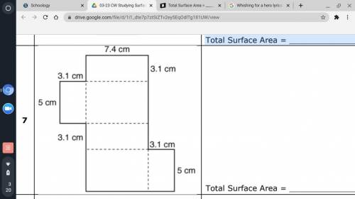 Total Surface Area = ______________