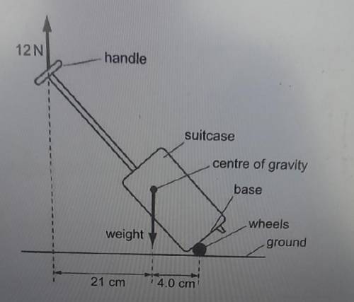 How do i find the weight of the suitcasepls help asap​