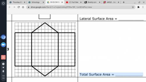 Total Surface Area = _____________