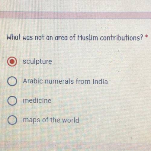 What was not an area of muslim contributions? 
please help !