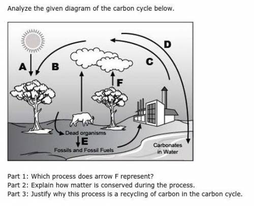 Analyze the given diagram of the carbon below. pls help