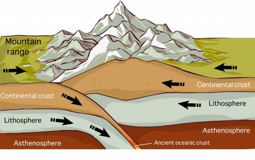 Which of the following pieces of evidence supports the theory of plate tectonics?

A 
the size and