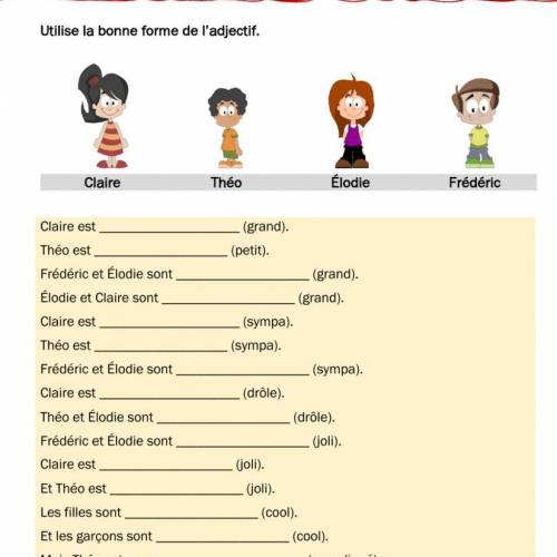 French Adjectives HELP ASAP !