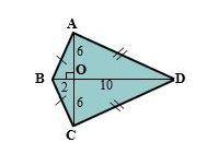 Find the area of the polygons.......