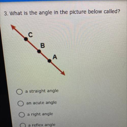3. What is the angle in the picture below called?

a straight angle
an acute angle
a right angle
a