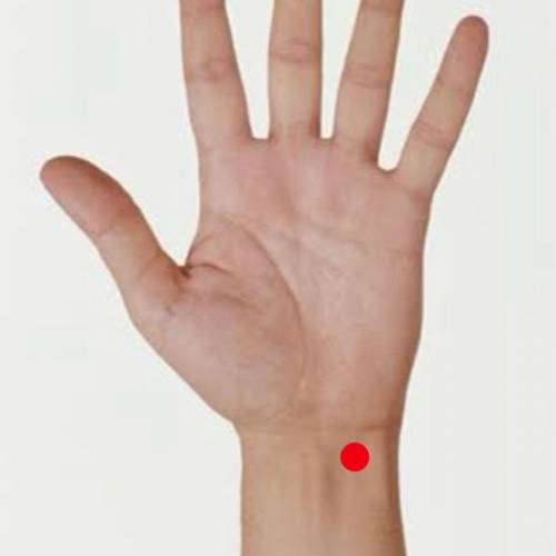 if u push down just above that red dot in the picture there’s this round muscle or something that p