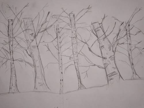 I need ur option so I can submit this pic for school

Rate this freehand drawing of a Birch tree