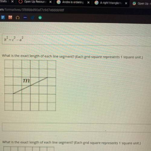 What is the exact length of each line segment? (Each grid square represents 1 square unit.)
m