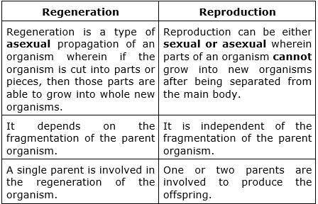 Compare regeneration and vegetative reproduction