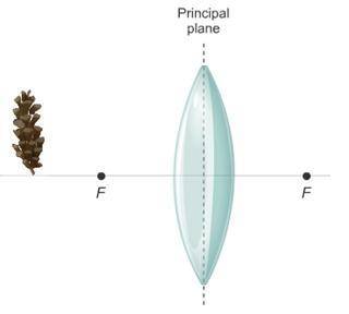 2. For the above diagram, the pinecone is 25cm from the lens and is 9.5cm tall. If the focal length