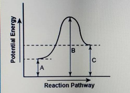 The diagram shows the potential energy changes for a reaction pathway.

part 1: describe how you c