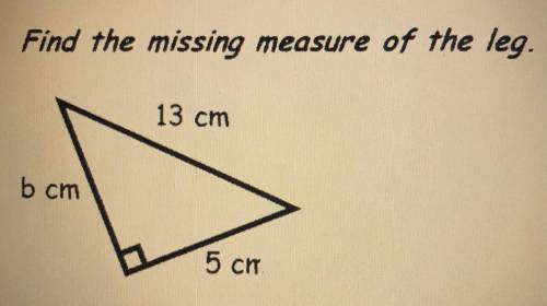 Find the missing measure of the leg.