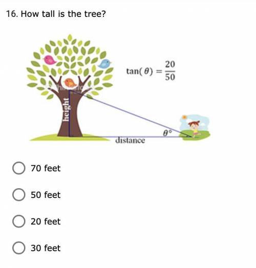 How tall is the tree.