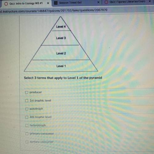 Select 3 terms that apply to level 1 of the pyramid
