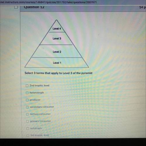 Select 3 terms that apply to Level 3 of the pyramid