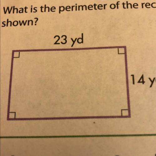 What is the perimeter of the rectangle shown?