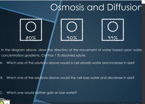 How do I find out osmosis and diffusion