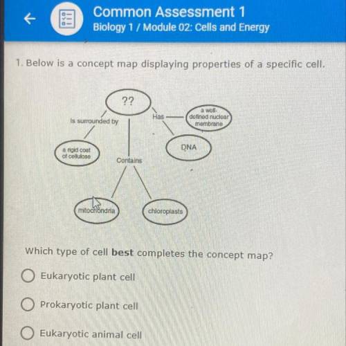 Which type of cell best complete the concept map￼