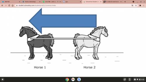 Look at the picture of the two horses. They are pulling in opposite directions, but at the same tim
